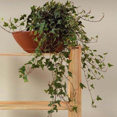 Estante 4 Prateleiras Modulare Tramontina Pinus