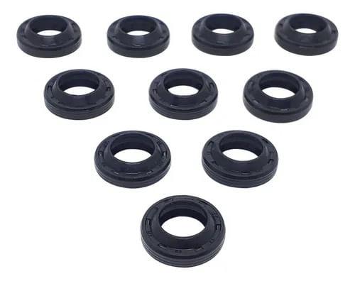 Anel Raspadorador 12 x 20 x 4/6 - Kit 10 Peças Karcher